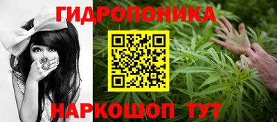 мет Камышлов
